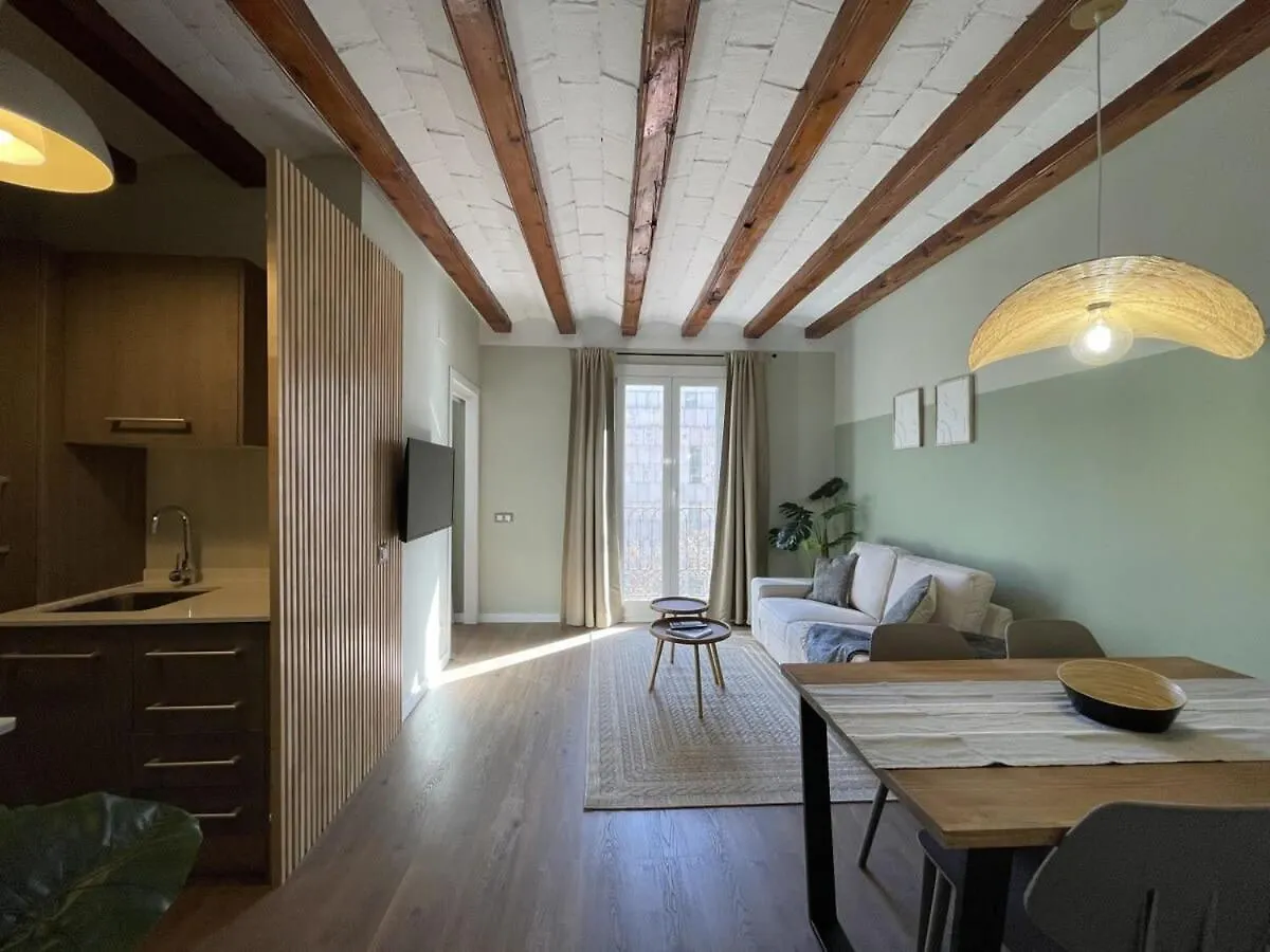 Plaza Catalunya Recently Renovated 5Bd-4Bth Apartment Barcelona